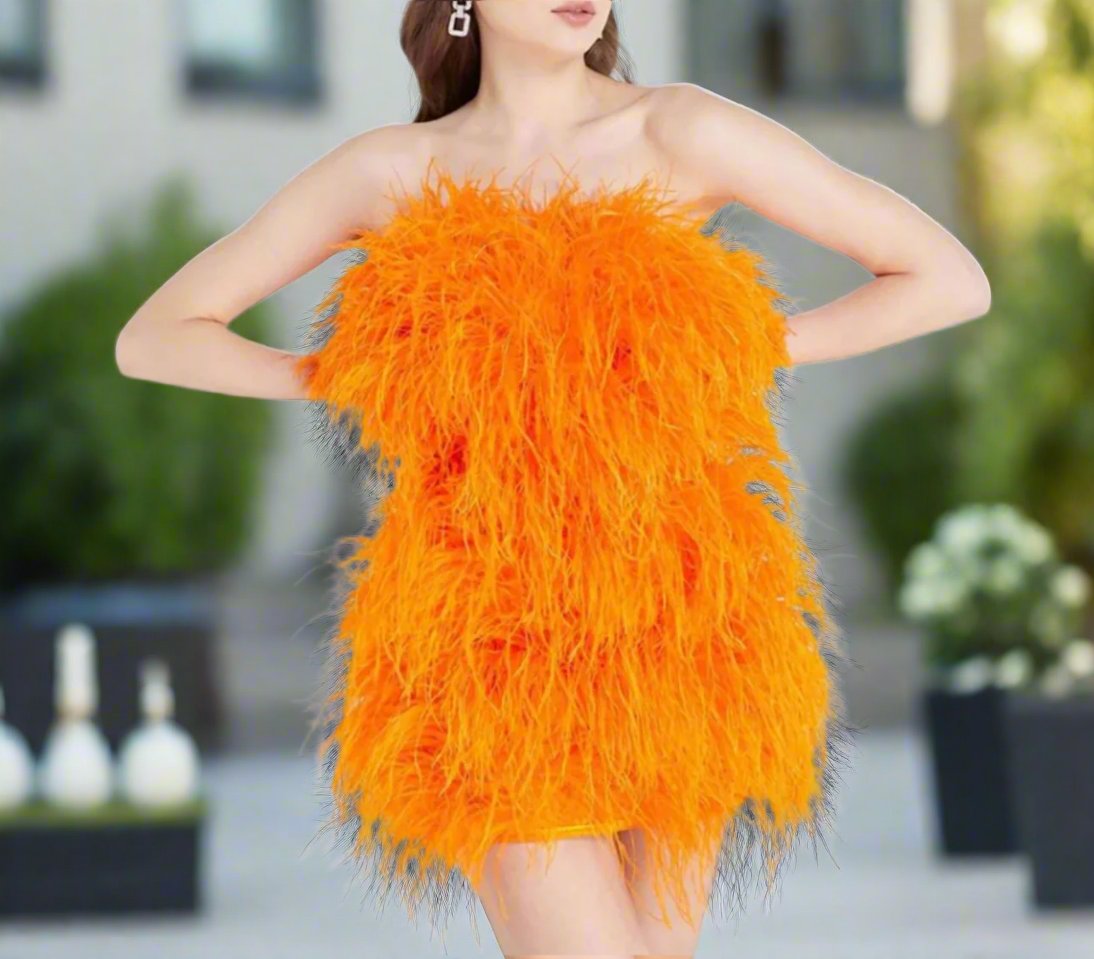 Kia - Strapless Ostrich Feather Dress